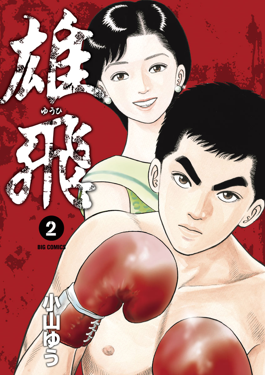 ゆう NGK スパークプラグ LMAR9G ZX-25R - メルカリ