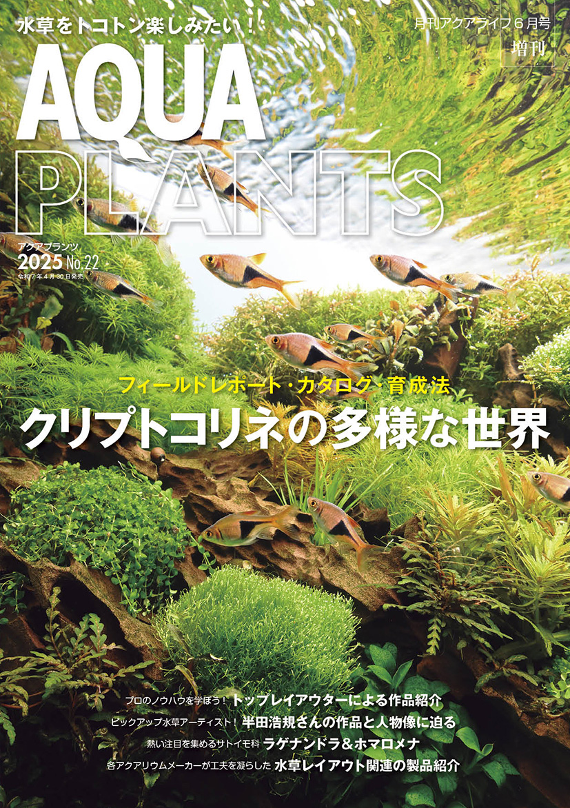 AQUA PLANTS (アクアプランツ) No.22 2025年 6月号 [雑誌]