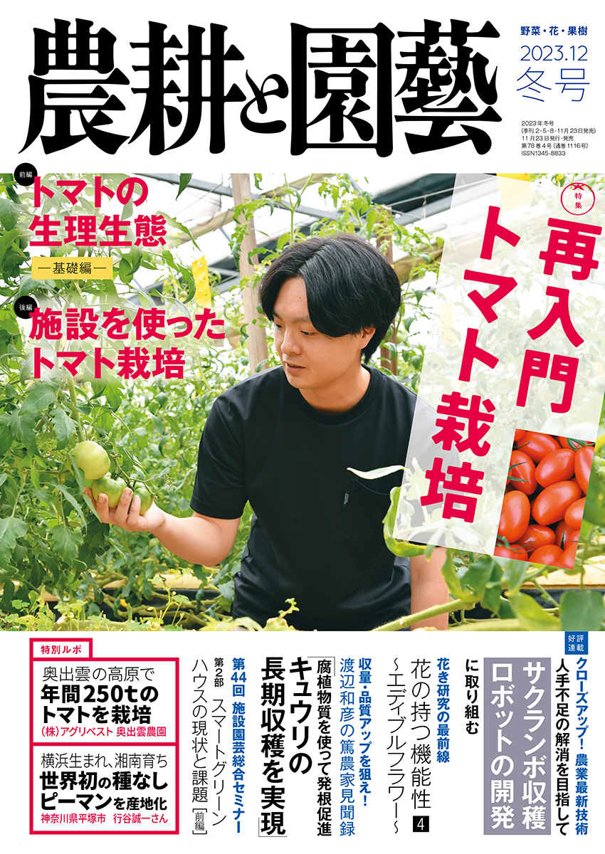 comさん ジュエリーケース ジュエリーボックス 宝石箱 ジュエリー収納 ミラー
