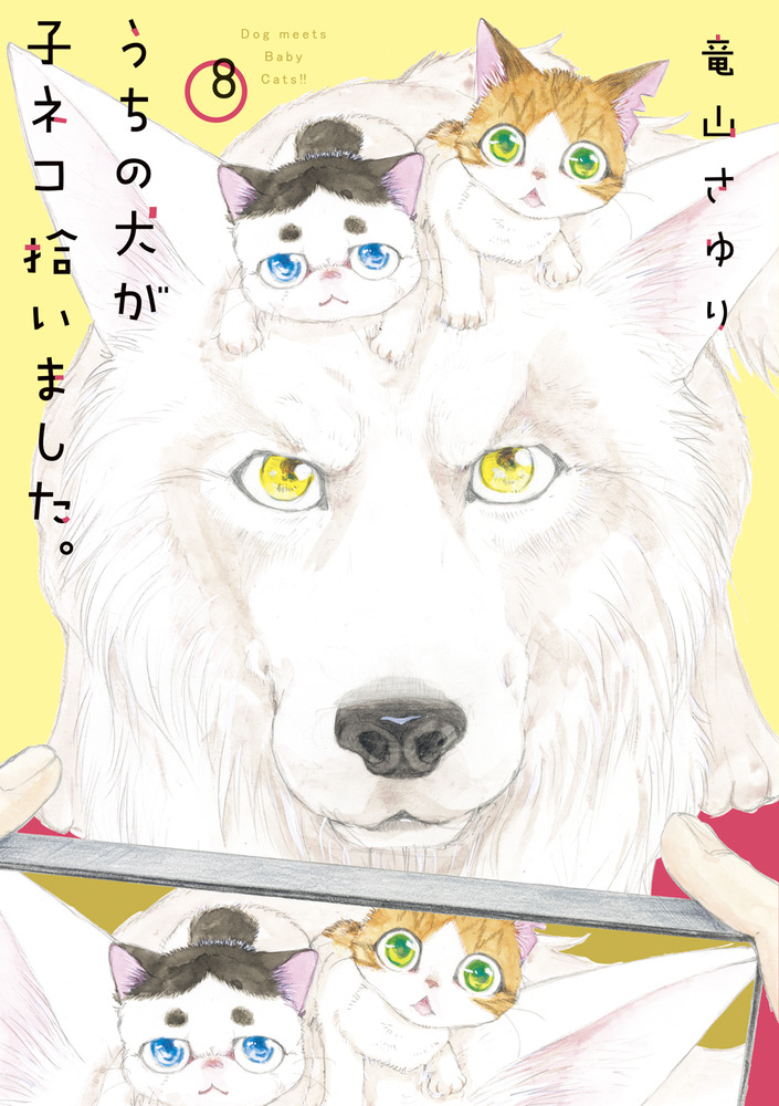 うちの犬が子ネコ拾いました。 第8巻」｜フラワーコミックス｜小学館