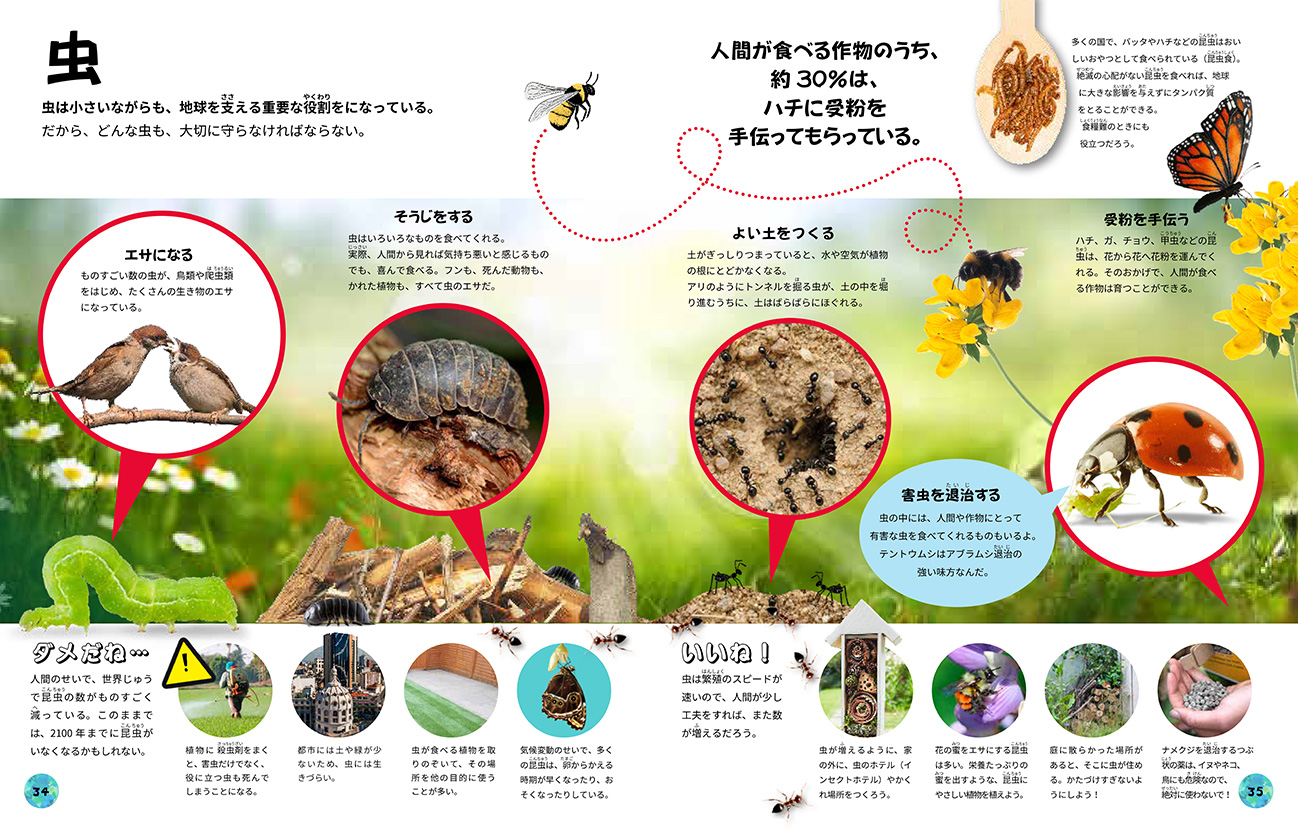 目で見るSDGs時代の生物多様性