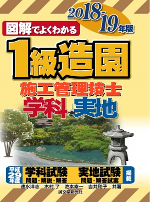はと ホンダ（HONDA）1996年 Live Dio ZX・マイナーチェンジの