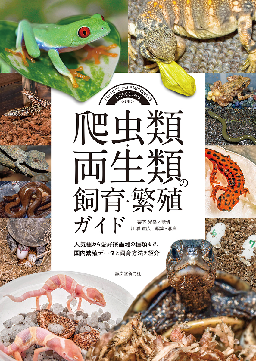 爬虫類飼育6点セット 説明書つき 爬虫類・両生類の飼育・繁殖ガイド