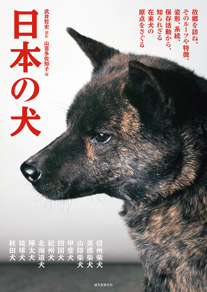 人気海外ブランドアイテム｜ファッション通販 日本の犬 ジャケット・アウター