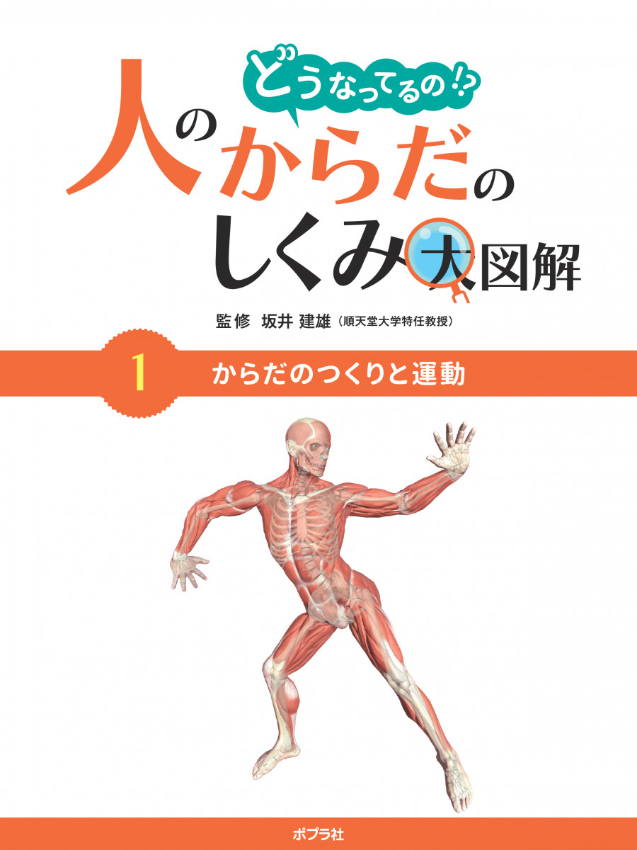 からだのつくりと運動