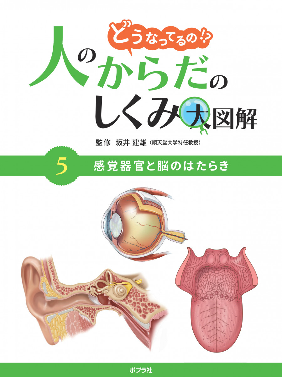 感覚器官と脳のはたらき