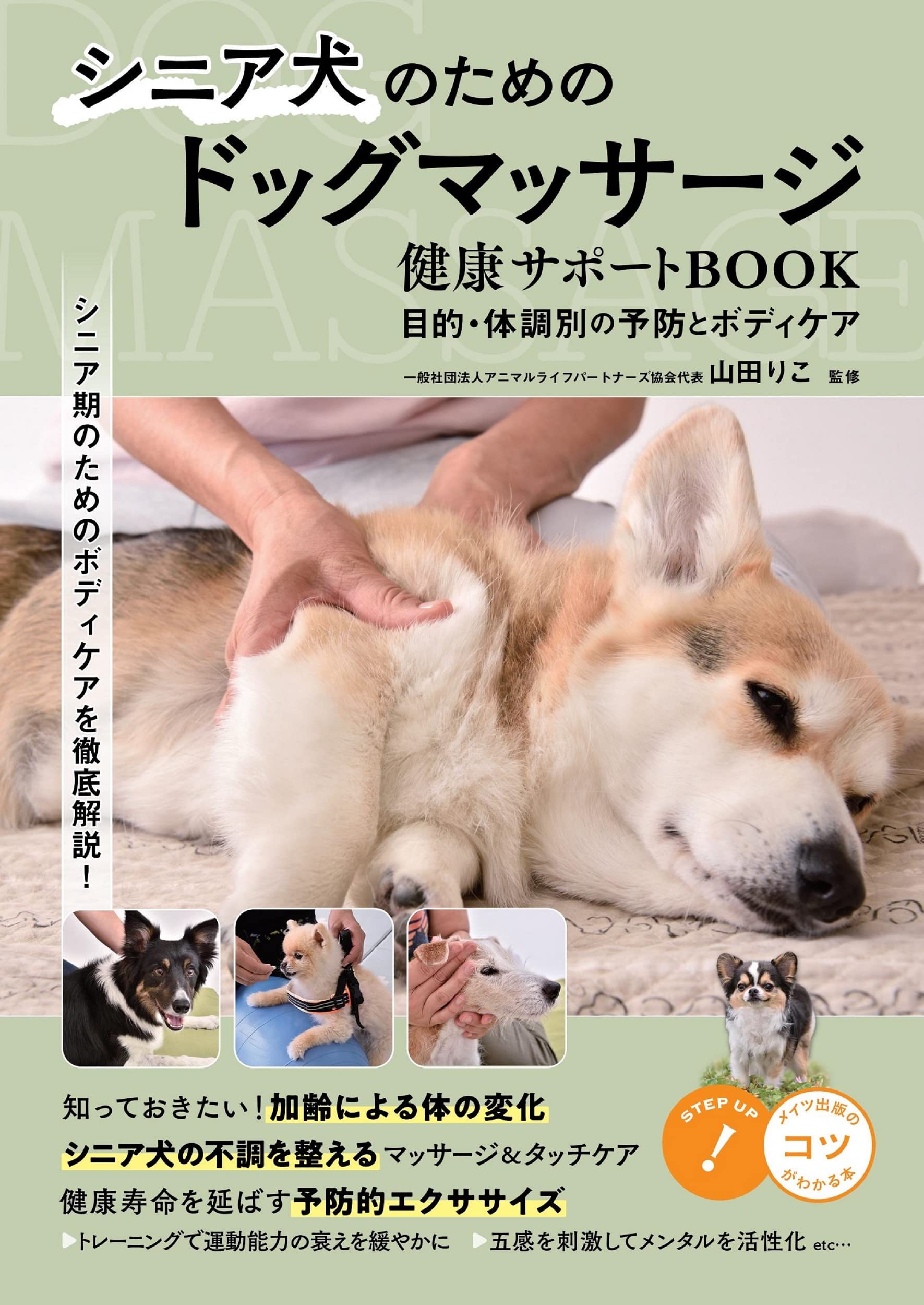 日本の犬