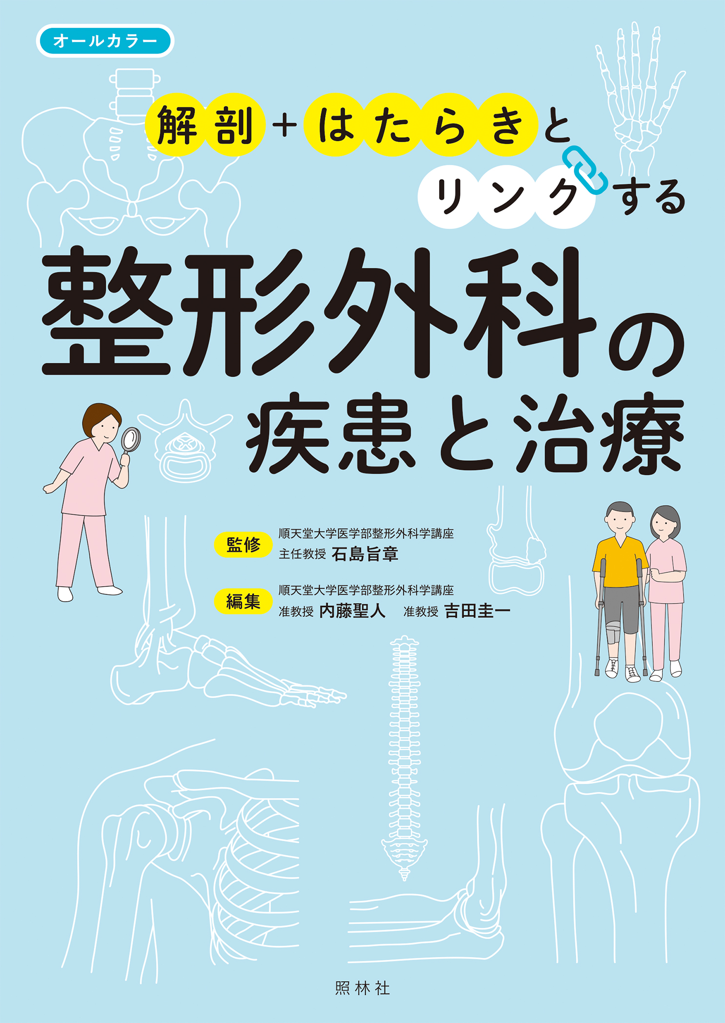 ケイ 解剖」＋「はたらき」とリンクする 整形外科の疾患と治療