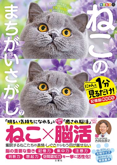 毎日脳活スペシャル　ねこのまちがいさがし　10冊セット 毎日脳活スペシャル ねこのまちがいさがし10 にゃんと1分見る
