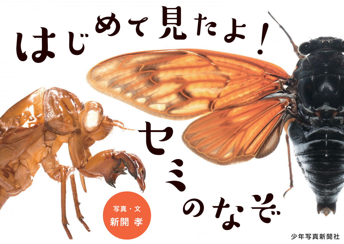 AMBIDEX Store 〇エコウェザー ロングコート(F ベージュ): iki